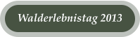 Walderlebnistag 2013